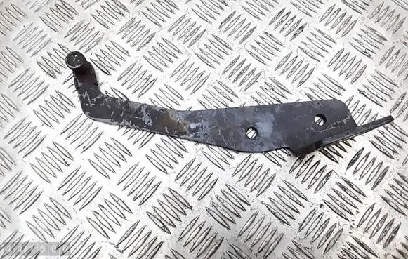 Rear door lower hinge