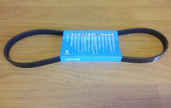 Toyota Avensis Verso Timing belt 5PK884