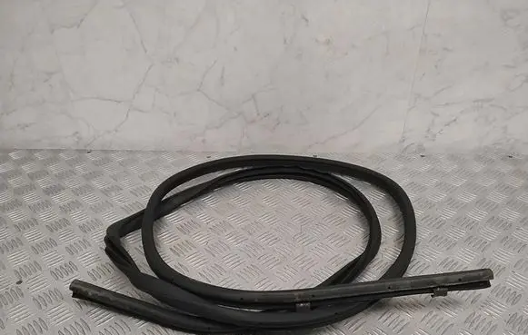 Nissan Leaf II (ZE1) Front door rubber seal 