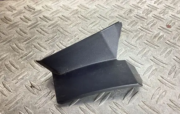 Rear/tail light trim molding