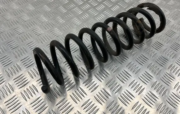 Rear coil spring