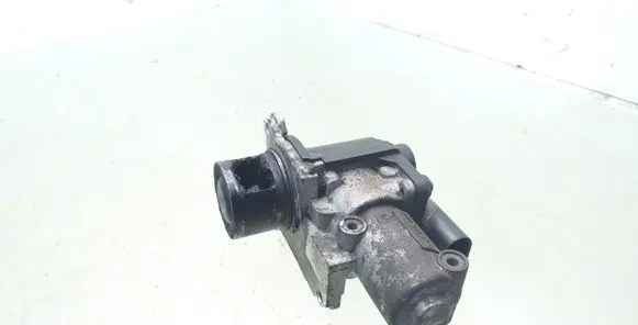 Skoda Octavia Mk2 (1Z) EGR valve 03G131501N