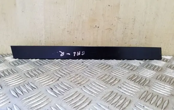 Other rear door trim element
