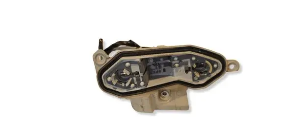 Opel Vectra C Tail light bulb cover holder 443045