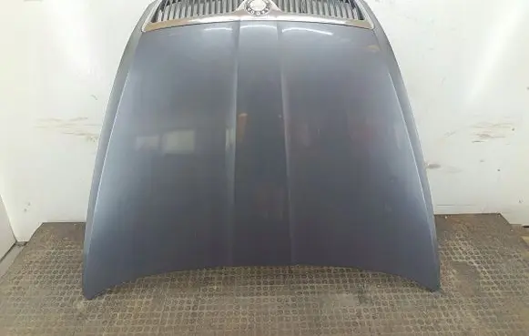 Skoda Octavia Mk2 (1Z) Engine bonnet/hood LF8J