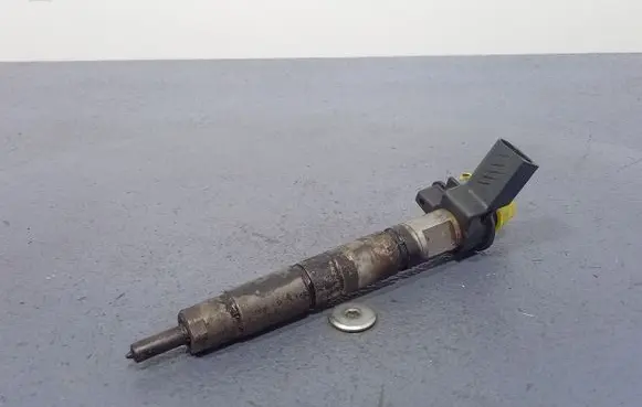 BMW X6 E71 Fuel injector 7805430