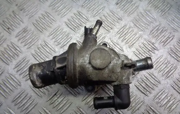 Thermostat/thermostat housing