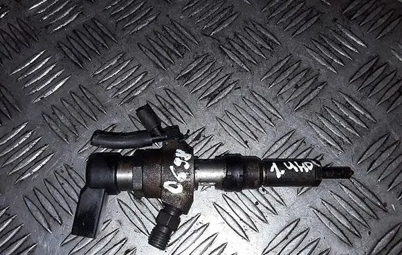 Citroen C3 Fuel injector 9655304880