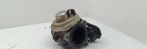 EGR valve
