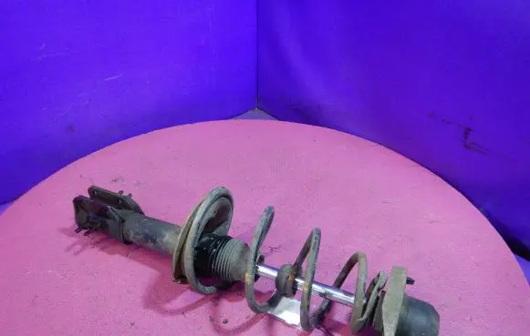 Fiat Punto (176) Front shock absorber with coil spring
