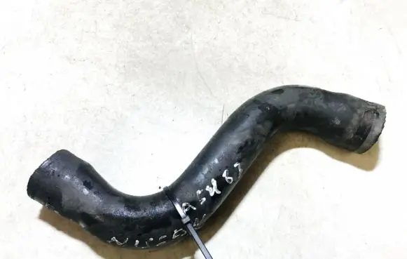 Nissan Almera Tino Engine coolant pipe/hose