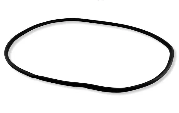Toyota Yaris XP210 Front door rubber seal 
