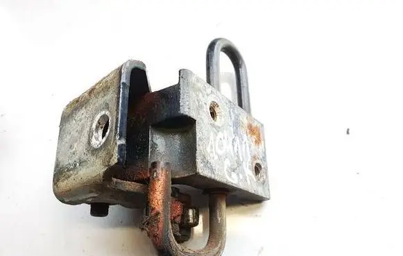 Seat Exeo (3R) Rear door lower hinge 8e083341e