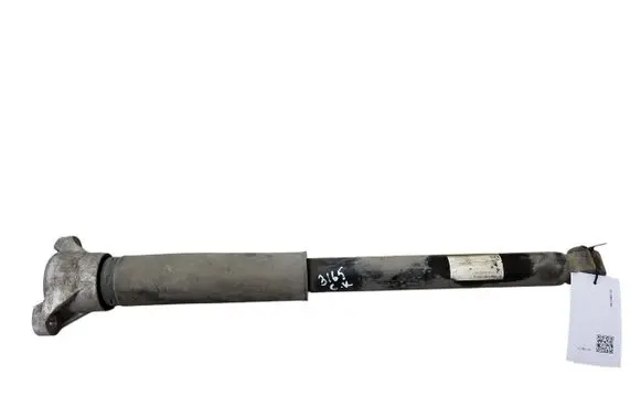 Mercedes-Benz EQE v295 Rear shock absorber/damper A2953204000