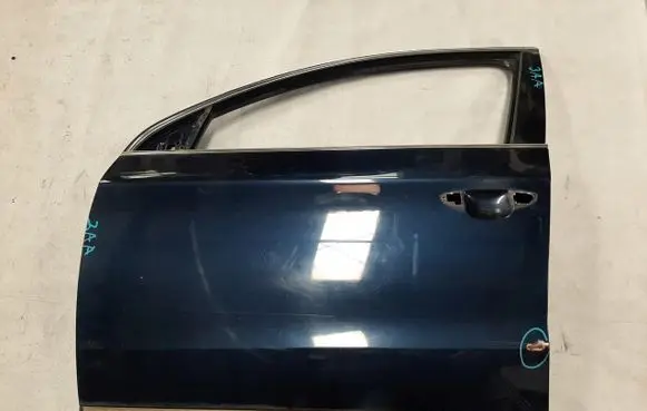 Volkswagen PASSAT B7 Front door