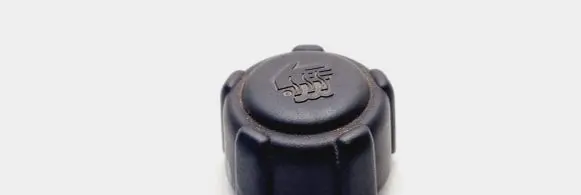 Renault Scenic I Coolant expansion tank/reservoir cap 