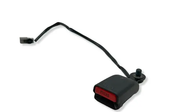 Tesla Model S Rear seatbelt buckle 101879100D