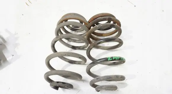 Rear coil spring