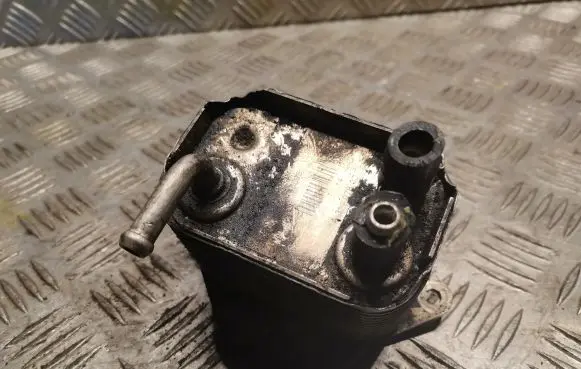 Mercedes-Benz C W202 Fuel cooler (radiator) 6110780079