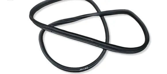 BMW X6 E71 Rear door rubber seal (on body) 