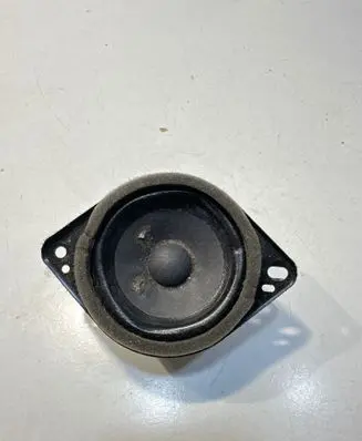 Panel speaker