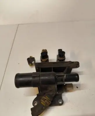 Thermostat/thermostat housing