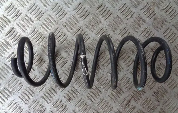 Rear coil spring