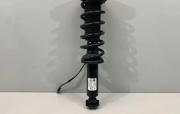 BMW X3 G01 Rear shock absorber with coil spring 6887148