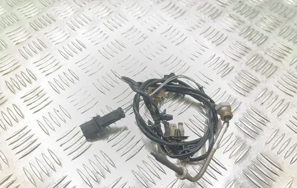 Opel Zafira B Exhaust gas temperature sensor 0219070014