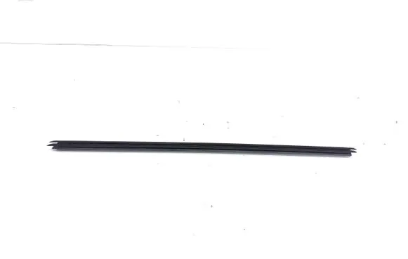 BMW X6 E71 Rubber seal front door window/glass 7179427