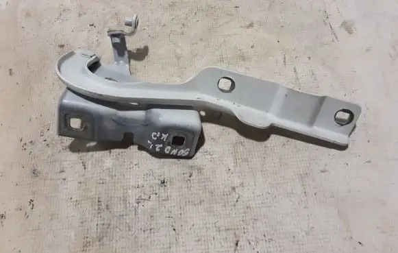Dacia Sandero III Engine bonnet/hood hinges 654016950R