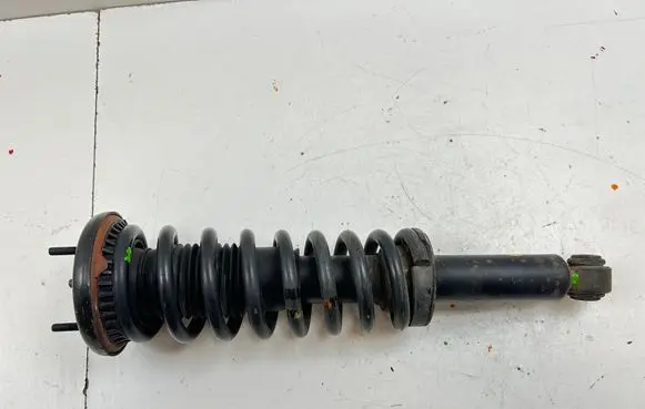 Jaguar XK - XKR Rear shock absorber with coil spring 6W8318080CA