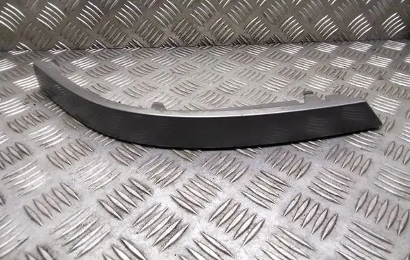 Rear/tail light trim molding