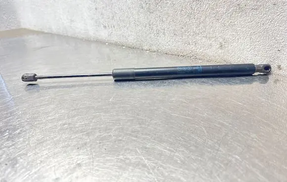 Opel Meriva B Tailgate strut 315005777 03062807 16710AE07