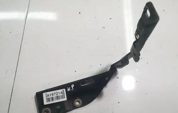 Nissan Almera Tino Engine bonnet/hood hinges 