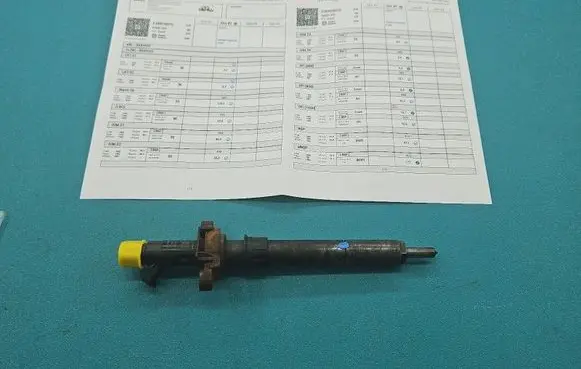 Citroen C5 Fuel injector EJBR03801D IMPRK1504261