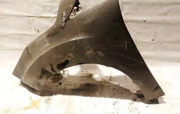 Ford Grand C-MAX Fender Juoda