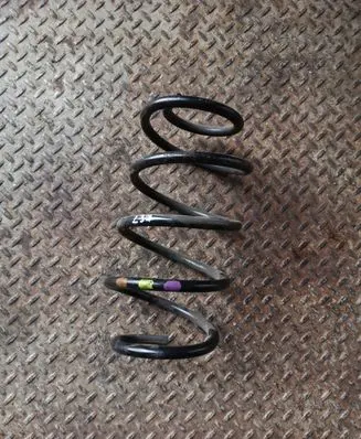Ford Focus Front coil spring