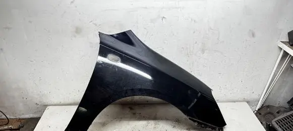 KIA Carens II Fender