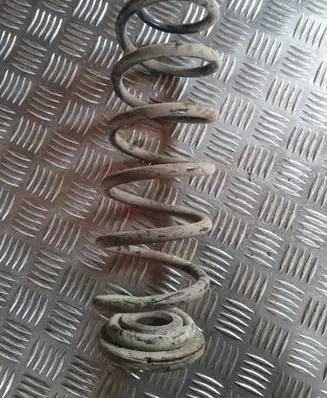 Volkswagen Golf V Rear coil spring