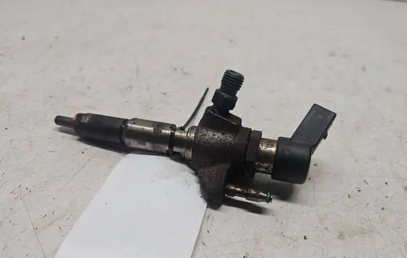 Citroen C4 I Picasso Fuel injector 9674973080 50274V05