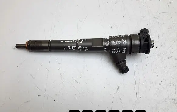 Renault Kangoo II Fuel injector 0445110485 H8201108033