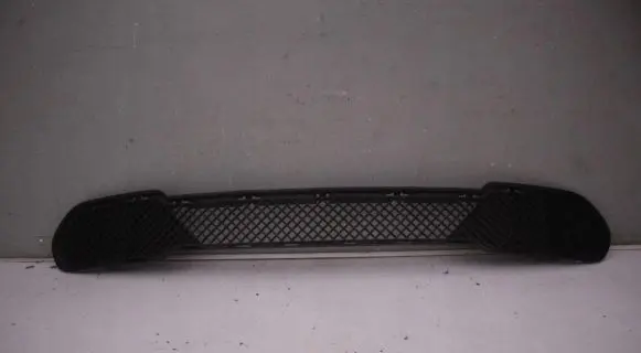 BMW X1 E84 Front bumper lower grill Xhjexvsykfcg