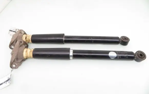 Volkswagen Jetta V Rear shock absorber/damper RS4459