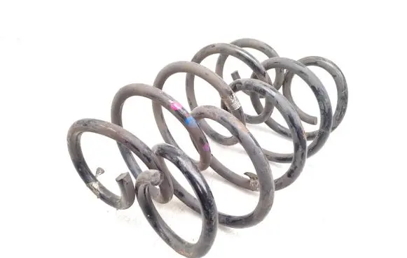 Rear coil spring