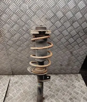 Skoda Octavia Mk2 (1Z) Front shock absorber with coil spring 