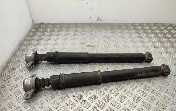 Citroen C4 II Rear shock absorber/damper 9673016380