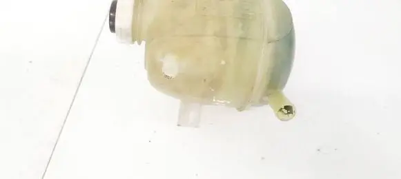 Renault Scenic I Coolant expansion tank/reservoir 7700839184