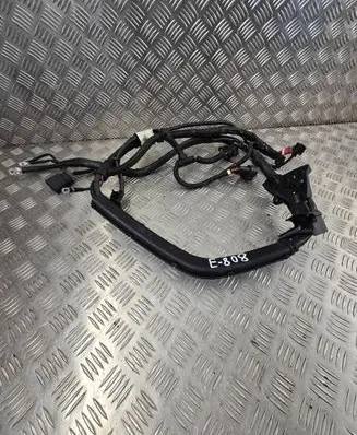 Audi A6 Allroad C7 Wires (generator/alternator) 4G2971228