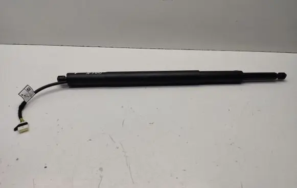 Tailgate strut